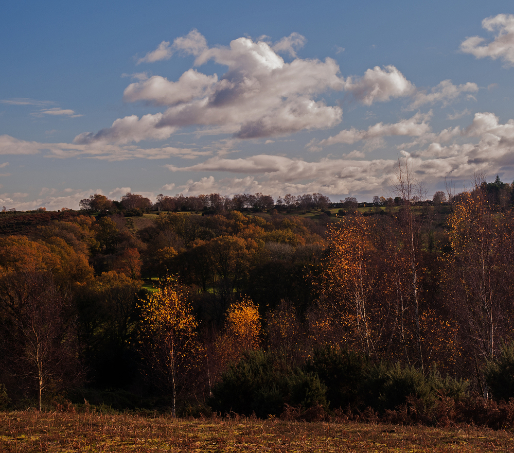 Autumn Autumn View,  Godshill